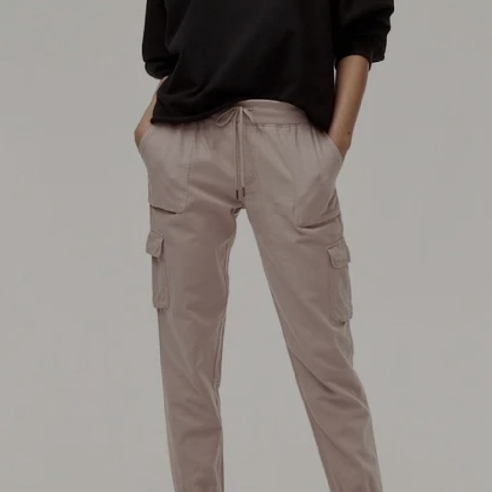 Aritzia Joggers